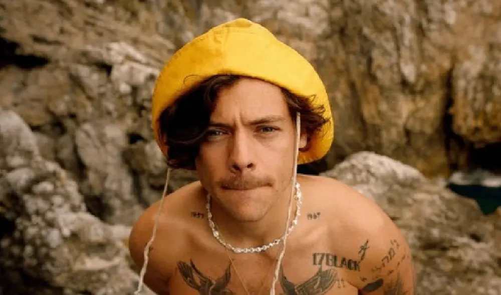 El cantante le puso fin a los rumores. Foto: Harry Styles/Instagram