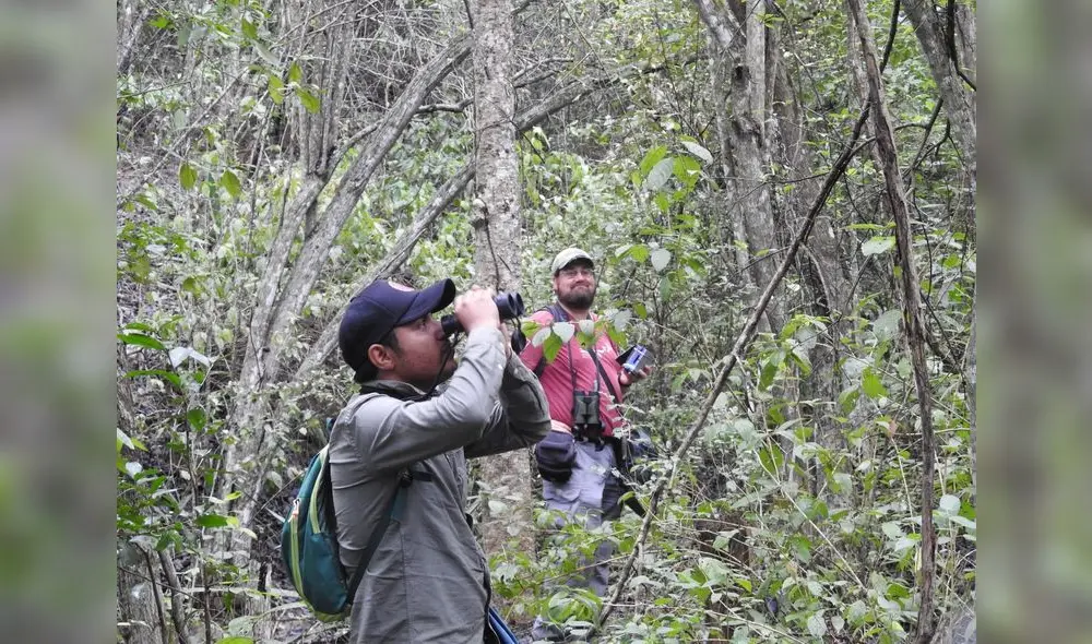 La gran cantidad de aves atrae al turismo vivencial. Foto: NCI
