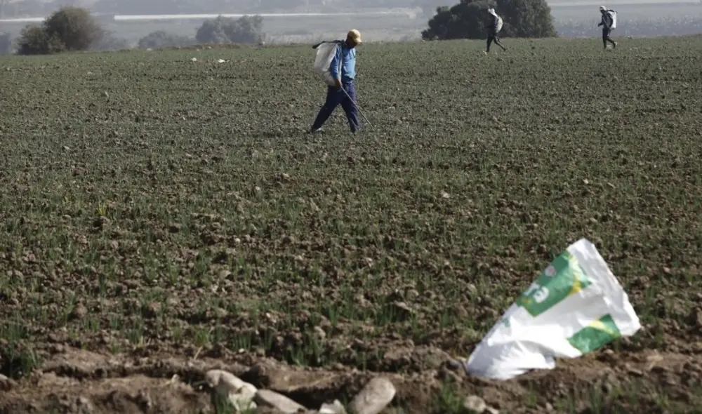 El valor de la urea ha retomado un nuevo impulso en las últimas semanas debido al encarecimiento de su principal insumo, el gas natural, en Europa. Foto: La República