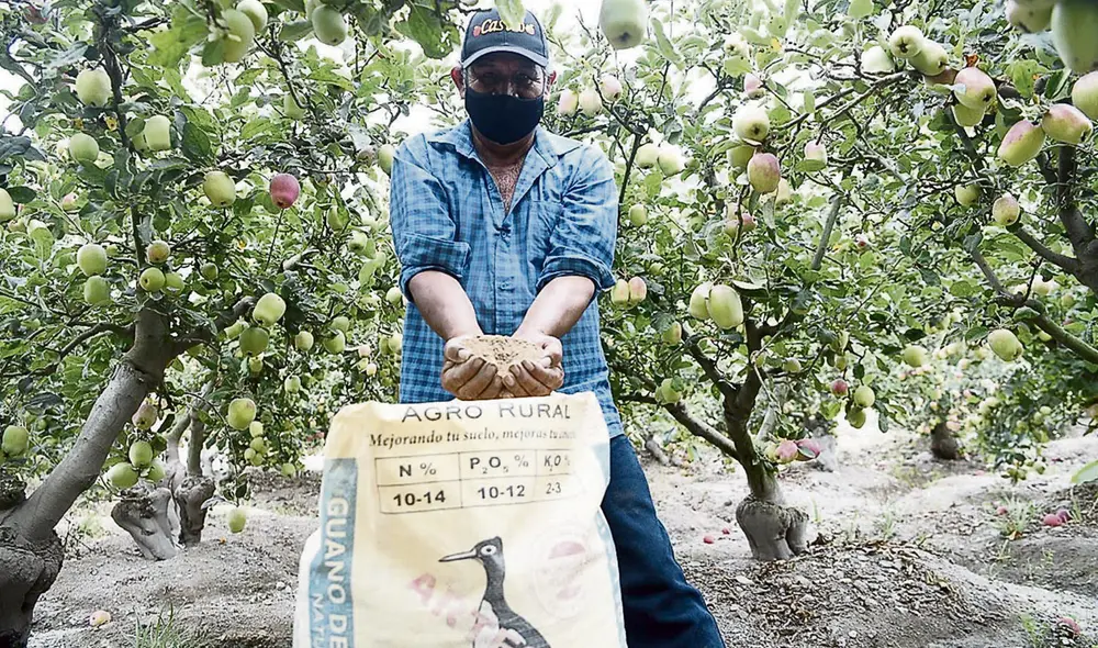Impostergable. Campaña agrícola, ya en marcha, apoyará a los pequeños productores solo a través de un bono directo a aquellos con menos de 10 hectáreas.