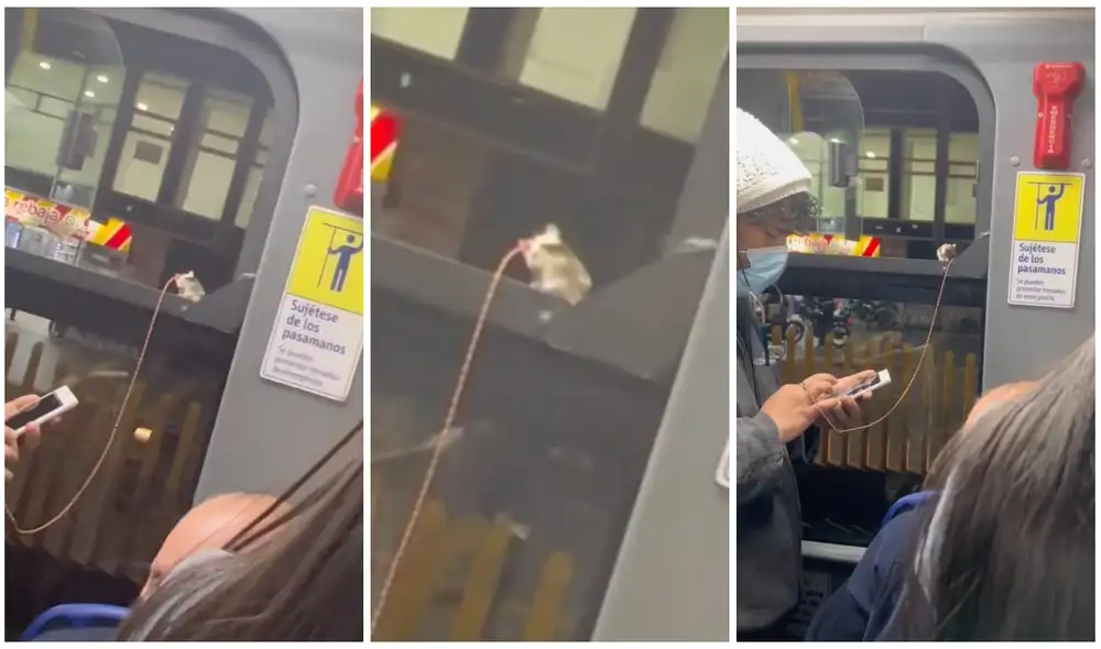 El video tiene casi 3 millones de visualizaciones. Foto: composición LR/@juanpksaenz/TikTok