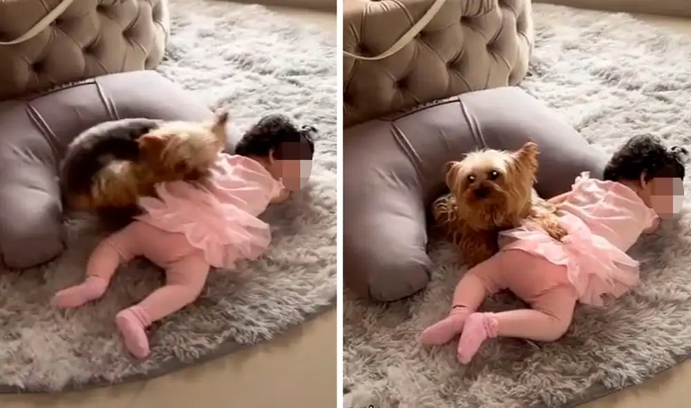 Para evitar que la bebé se moviera y se saliera de la alfombra, el pequeño animal la agarró con su pata delantera. Foto: composición LR/TikTok/@michellegt6