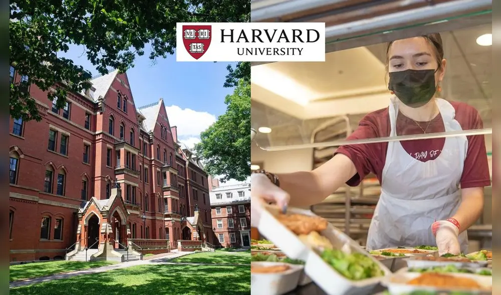 ¿Cuánto cuestá comer en la Universidad de Harvard? Foto: composición LR/Instagram/@harvard