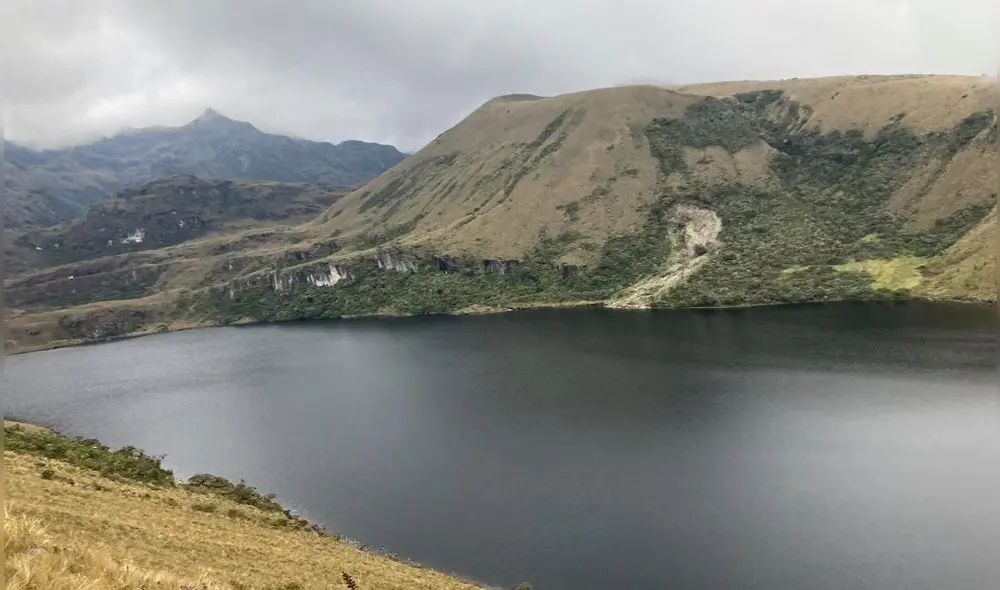 En estos ecosistemas, por encima de los 3.000 metros sobre el nivel del mar, vive diversas especies de flora y fauna. Foto: El Regional