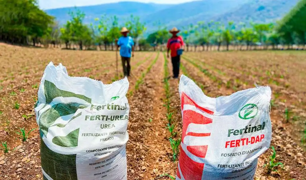 Falta de fertilizantes pondría en jaque a la campaña agrícola 2023. Foto: La República Falta de fertilizantes pondría en jaque a la campaña agrícola 2023. Foto: La República