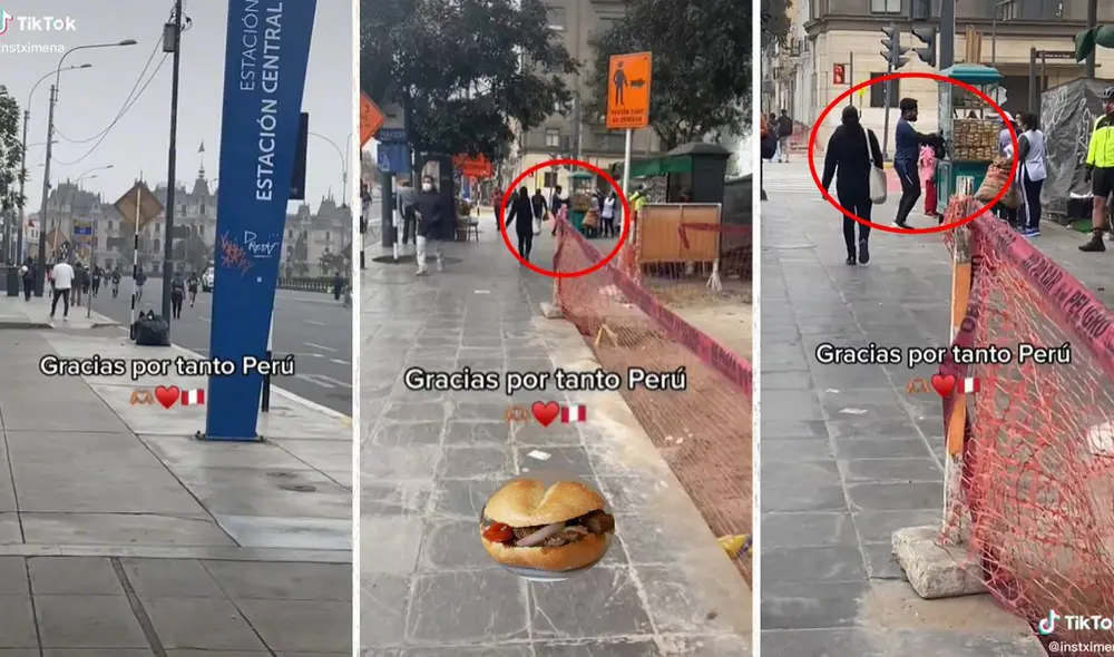 Video ha conseguido más de 30.000 visualizaciones en TikTok. Foto: composición LR/captura de TikTok/@instximena