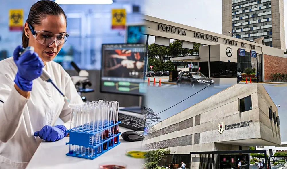 ¿Posees una especial sensibilidad frente a la problemática de la salud? Foto: UPCH / PUCP / composición de Jazmín Ceras / La República ¿Posees una especial sensibilidad frente a la problemática de la salud? Foto: UPCH / PUCP / composición de Jazmín Ceras / La República