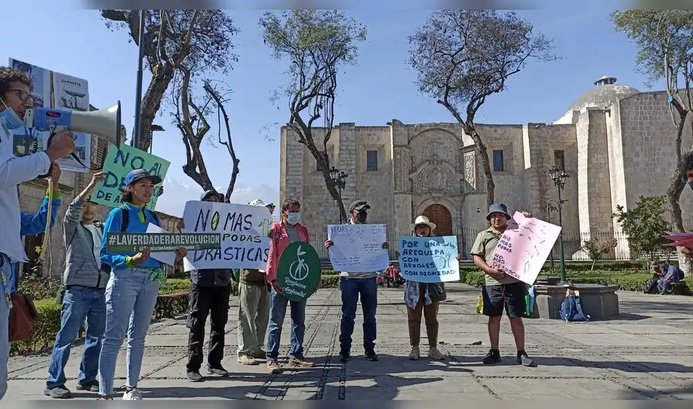 Los manifestantes señalaron que el jueves llegará un especialista que hará un diagnóstico de la poda a las jacarandas. Foto: La República