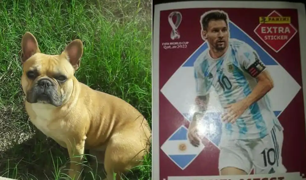 Miles de usuarios quedaron conmovidos con el tierno gesto del pequeño. Foto: composición LR/Facebook/Sol Ayos