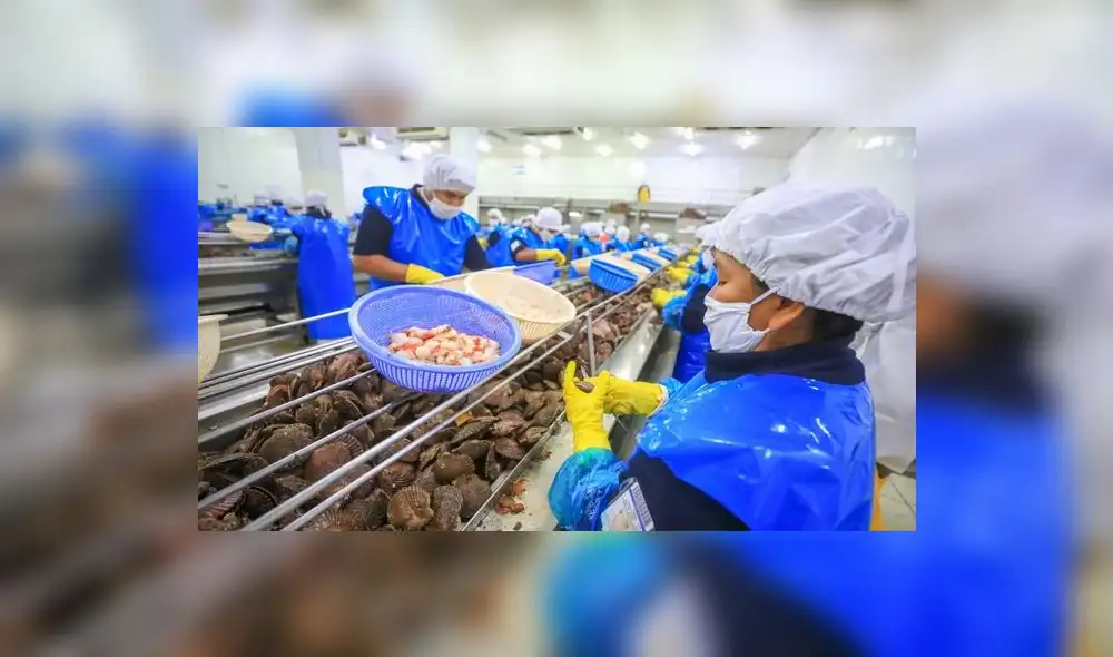 Los resultados apuntan a que las variaciones son explicadas principalmente por empleos generados en empresas de 101 a más trabajadores. Foto: Gobierno del Perú