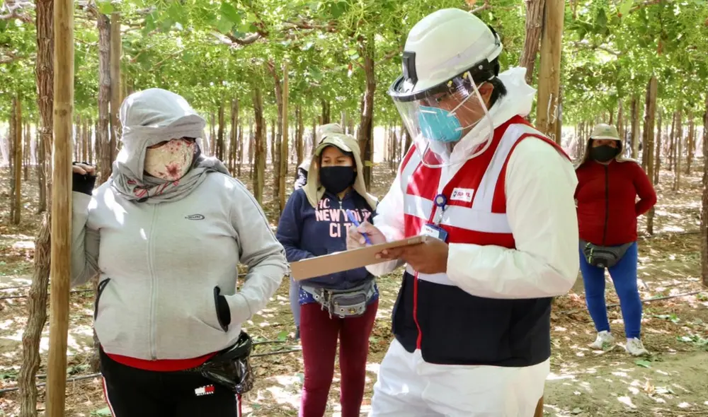 Los varones ganan un promedio de S/ 1.222,8, las mujeres ganan S/ 1.719,3; de este modo, se genera una brecha de S/ 496,5, según datos en INEI. Foto: Sunafil