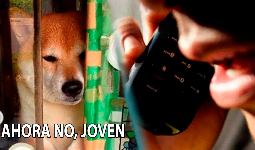 También puede darse el caso de que no sean solo llamadas de estafas. Foto: composición LR / Genbeta