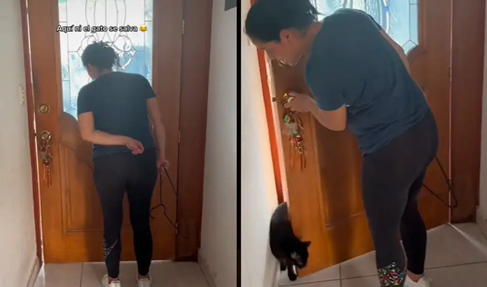 Este hecho sucedió en México. Foto: composición LR / TikTok / @jnnl18