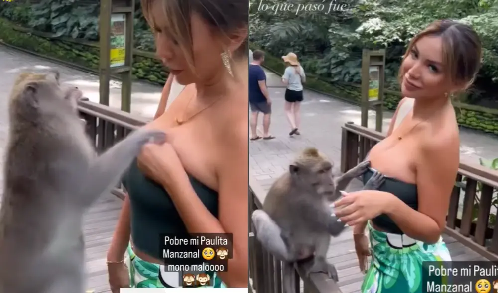 Paula Manzanal protagonizó un singular momento en su viaje por Tailandia. Foto: composición LR / Instagram Instarándula Paula Manzanal protagonizó un singular momento en su viaje por Tailandia. Foto: composición LR / Instagram Instarándula