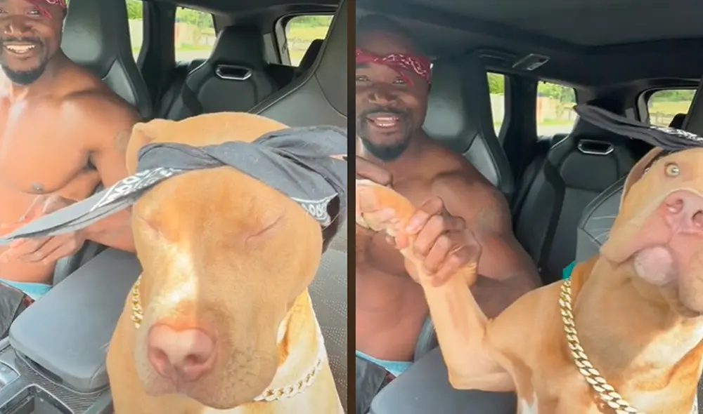 Este hecho sucedió en Estados Unidos. Foto: composición LR / TikTok / @love_n_naz Este hecho sucedió en Estados Unidos. Foto: composición LR / TikTok / @love_n_naz