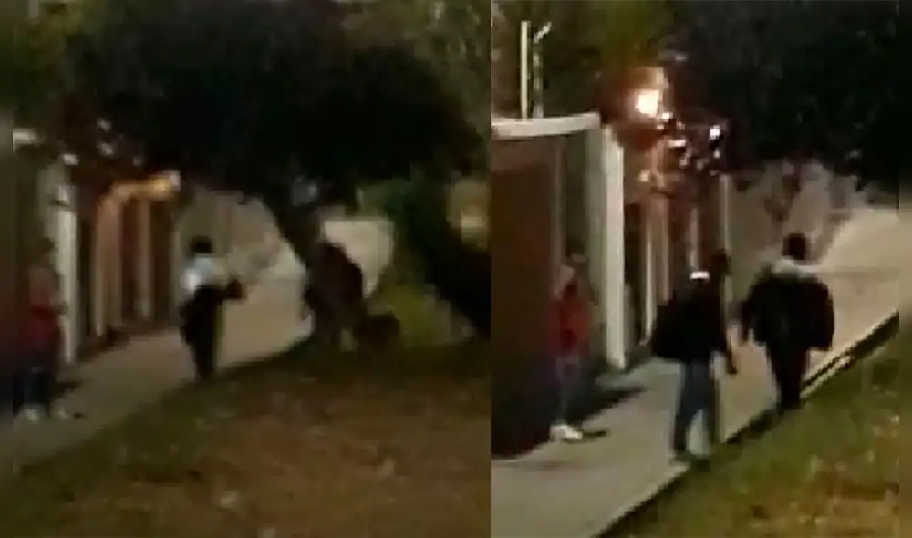 Imágenes de los jóvenes captadas por la cámara de un celular. Foto: captura de celular de ciudadano Imágenes de los jóvenes captadas por la cámara de un celular. Foto: captura de celular de ciudadano