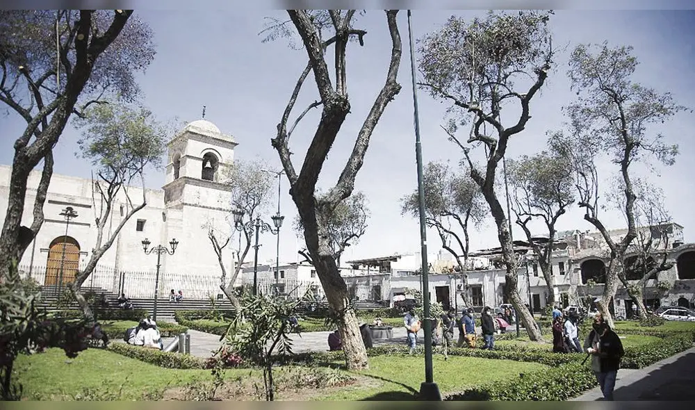 Reclamo. Poda fue cuestionada por ambientalistas. Foto: La República Reclamo. Poda fue cuestionada por ambientalistas. Foto: La República