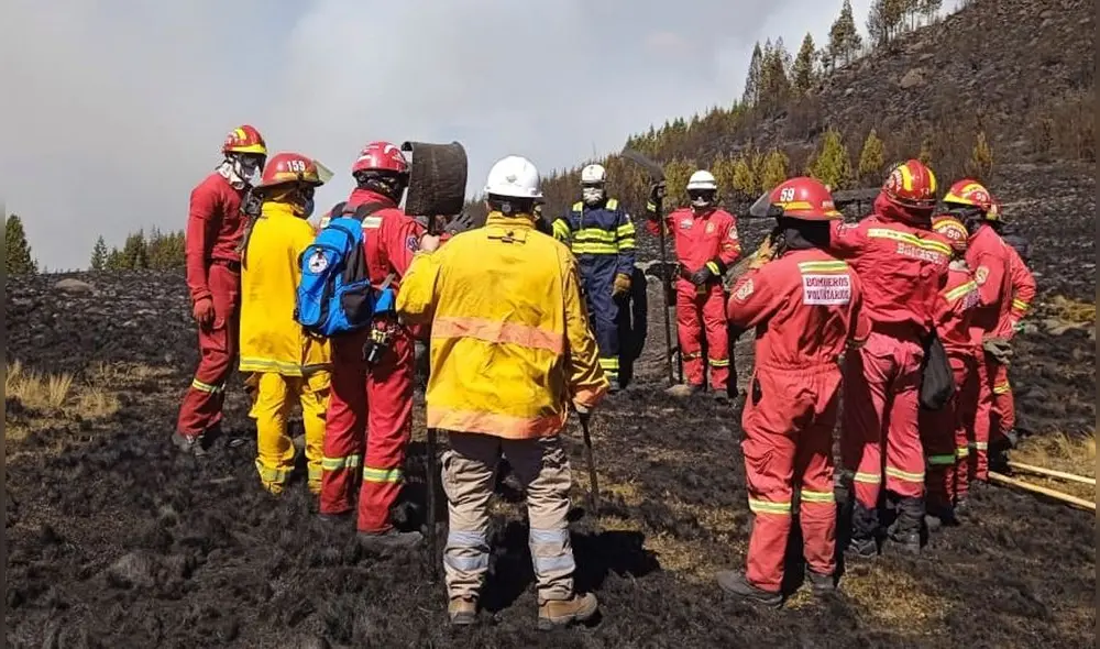 El fuego llegó a afectar 500 hectáreas de plantaciones, entre cultivos y el bosque de pinos. Foto: Compañía de Bomberos Cajamarca N.° 59