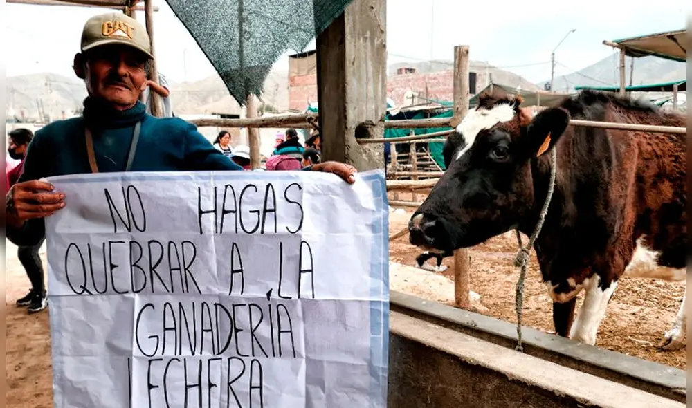 Ganaderos denunciaron los altos precios del forraje. Foto: Ganaderos lecheros del centro poblado de Roldan