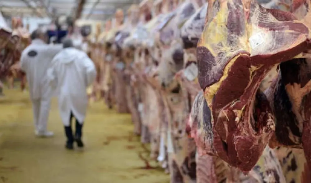 Un informe científico reveló que la industria ganadera es un peligro para el desarrollo climático. Foto: AFP