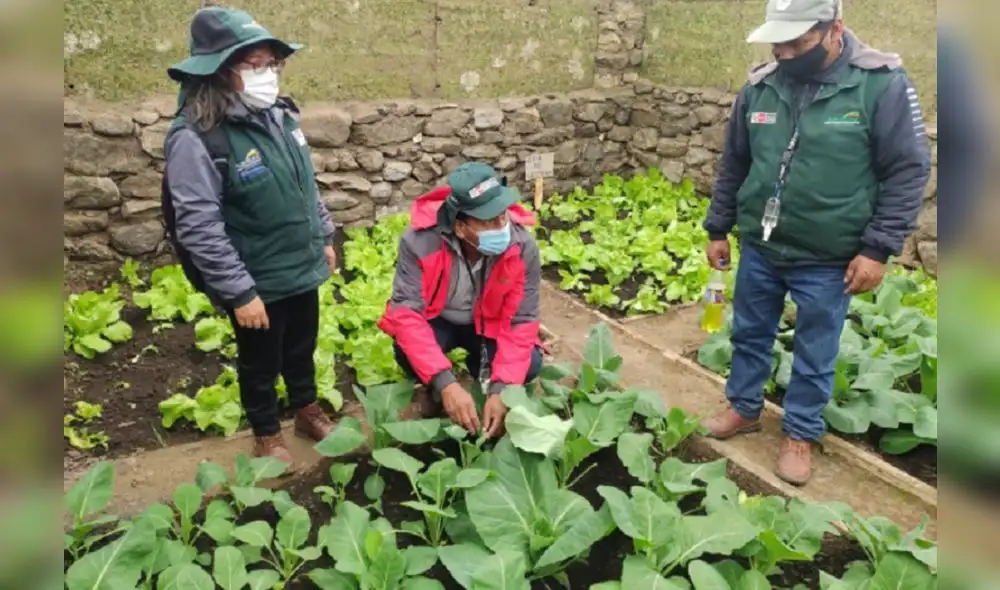 El nuevo grupo de trabajo sectorial tendrá un plazo de 60 días calendario para elaborar las propuestas. Foto: Andina
