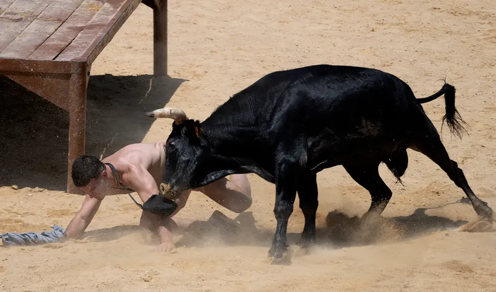 Ante lo sucedido, los defensores de animales hicieron un llamado para que prohíban las corridas de toros en toda España. Foto: AFP. Ante lo sucedido, los defensores de animales hicieron un llamado para que prohíban las corridas de toros en toda España. Foto: AFP.