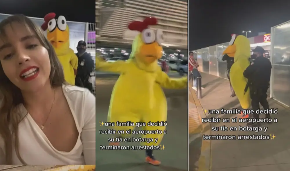 Miles de usuarios no han parado de reír con estas imágenes. Foto: composición LR/capturas de TikTok/@Alexa.Madelo