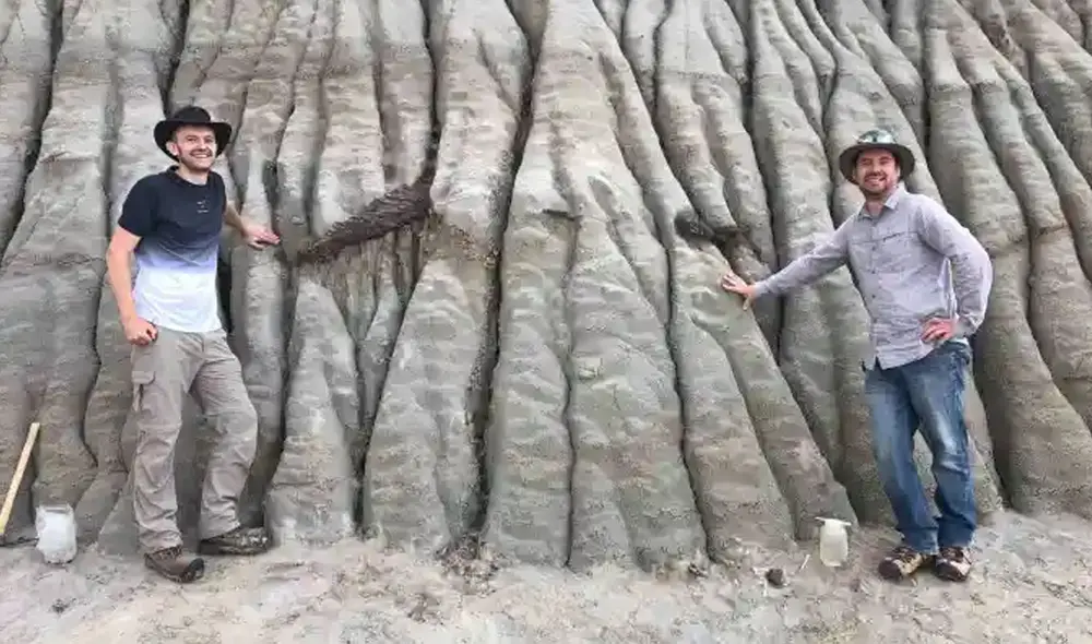Investigadores junto a los restos fósiles del dinosaurio que sobresalen de una colina en Canadá. Foto: Royal Tyrrell Museum