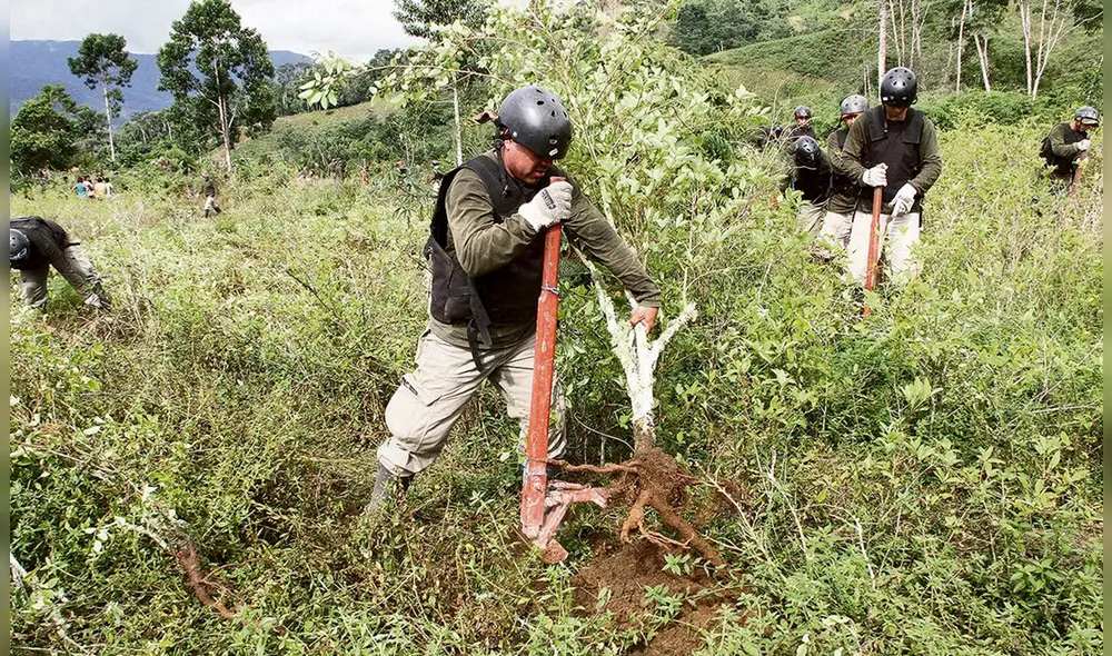 La afectación en áreas naturales protegidas a nivel nacional fue de 328 hectáreas, lo que equivale a un aumento del 26% respecto al 2020. Foto: Virgilio Grajeda/La República