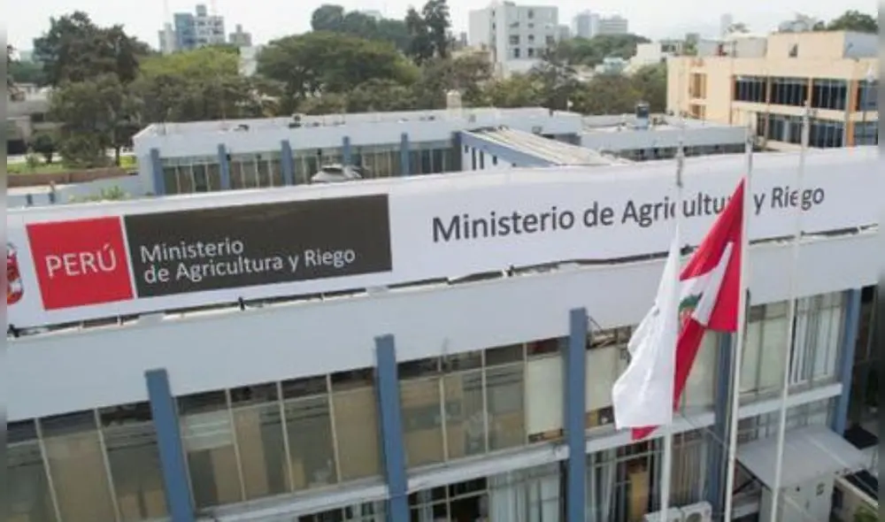 Designación se oficializó mediante la Resolución Ministerial N° 0371-2022-Midagri. Foto: Andina Designación se oficializó mediante la Resolución Ministerial N° 0371-2022-Midagri. Foto: Andina