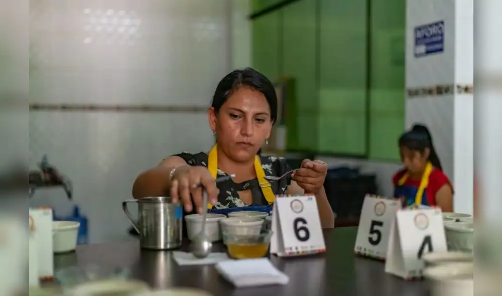 Cafés seleccionados provienen de 27 cooperativas. Foto: Golden Cup Cafés seleccionados provienen de 27 cooperativas. Foto: Golden Cup