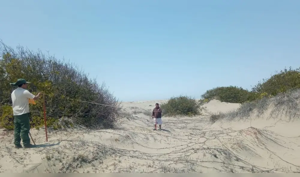 Especialistas en trabajo de campo en Illescas. Foto: UNP Especialistas en trabajo de campo en Illescas. Foto: UNP