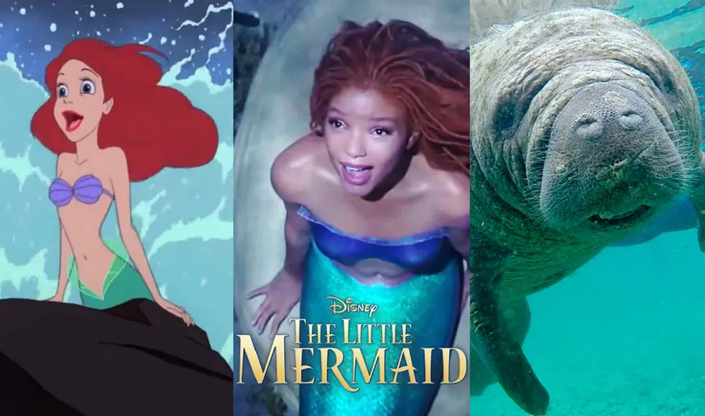 "La sirenita" pone en el debate la representación de las sirenas. ¿Qué tienen que ver los manatíes con ellas? Foto: Composición La República/Disney/National Geographic