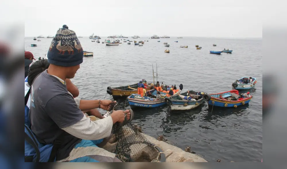 Esdras Medina señaló que urgen mejores incentivos para los pescadores por parte del Ejecutivo. Foto: La República