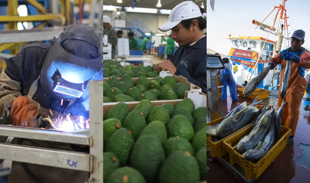 Las pequeñas empresas, entre 10 hasta 100 colaboradores, registraron un mejor desempeño del empleo (10,5%). Foto: composición LR/MTPE/WWF Las pequeñas empresas, entre 10 hasta 100 colaboradores, registraron un mejor desempeño del empleo (10,5%). Foto: composición LR/MTPE/WWF