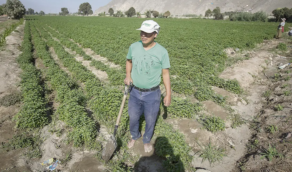 Solicitud. Gremios agrarios piden a la ministra celeridad en la entrega del Fertiabono. Foto: difusión Solicitud. Gremios agrarios piden a la ministra celeridad en la entrega del Fertiabono. Foto: difusión