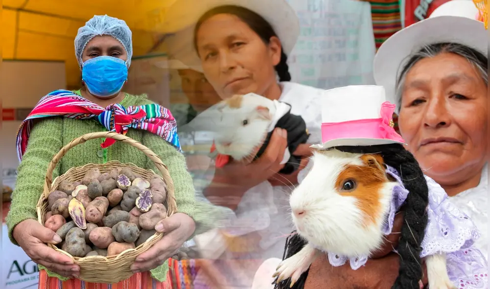 A nivel legal, se encontró que el 65% (764 emprendimientos) se encuentran en proceso de formalización y el 35% (416 ideas de negocios) están formalizadas. Foto: Agro Rural A nivel legal, se encontró que el 65% (764 emprendimientos) se encuentran en proceso de formalización y el 35% (416 ideas de negocios) están formalizadas. Foto: Agro Rural