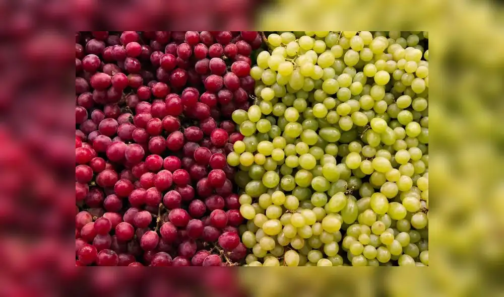 El primer factor que impulsó este crecimiento fue la ampliación de la ventana de producción, que comienza con la Red Globe en junio y finaliza en marzo, abarcando casi todo el año. Foto: difusión