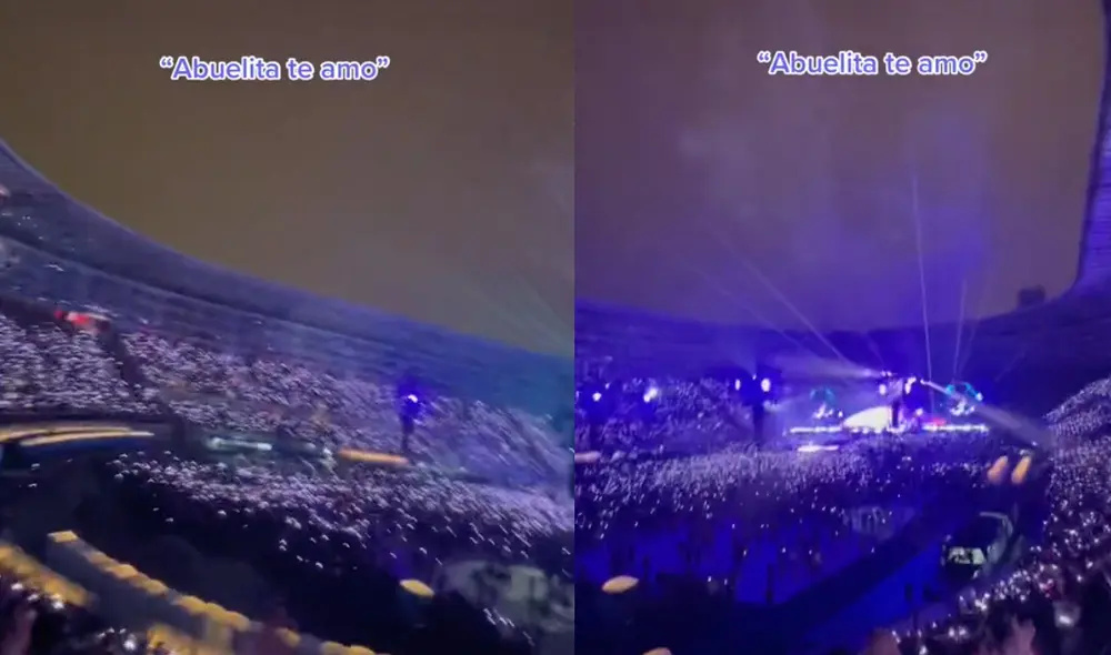 Este hecho sucedió en Perú. Foto: composición LR / TikTok / @user20170037