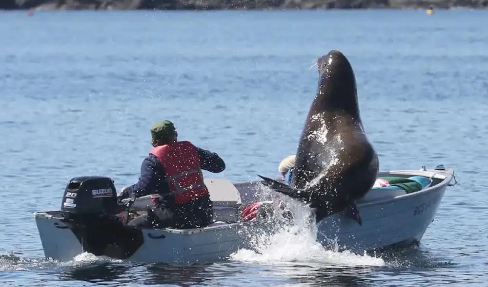 Las imágenes causaron asombro entre miles de usuarios en las redes sociales. Foto: Facebook/Mark Malleson Las imágenes causaron asombro entre miles de usuarios en las redes sociales. Foto: Facebook/Mark Malleson