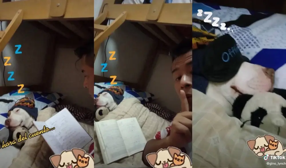 El video si hizo viral rápidamente en TikTok. Foto: composición LR/captura de TikTok/@gino_lynch