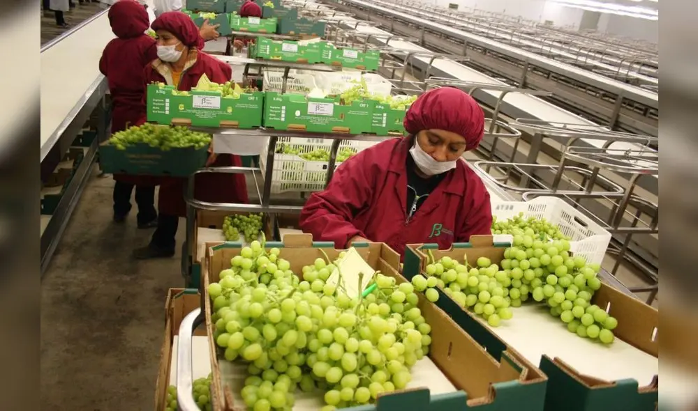 El sector servicios absorbió la mayor cantidad de empleo. Foto: MTPE