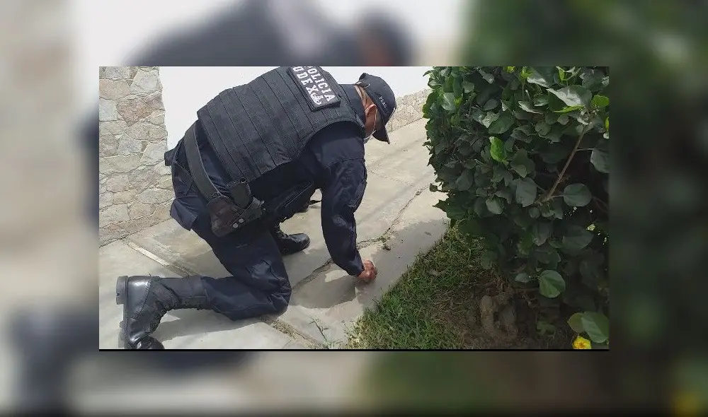 Agentes de la Unidad de Desactivación de Explosivos (UDEX) llegaron para buscar más material detonante. Foto: PNP Agentes de la Unidad de Desactivación de Explosivos (UDEX) llegaron para buscar más material detonante. Foto: PNP