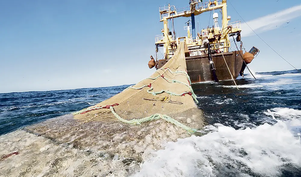 Engaño. De acuerdo con las acciones de control, los inspectores navales simularon haber cumplido con evaluar los buques. Foto: difusión