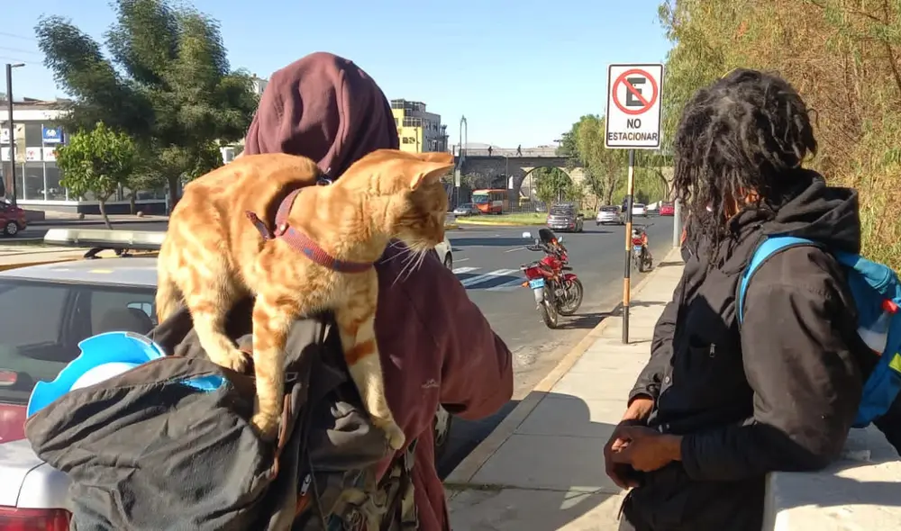 Indigentes ocupaban ribera del río Chili. Foto: Serenazgo Arequipa Indigentes ocupaban ribera del río Chili. Foto: Serenazgo Arequipa