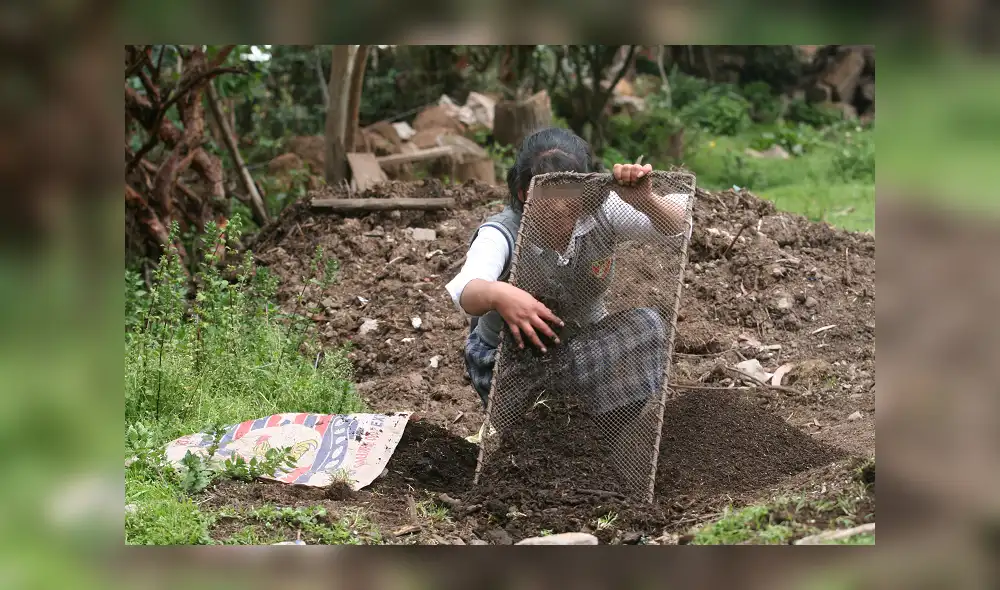 Muchas niñas son obligadas a abandonar sus estudios para apoyar en el campo o en su hogar.