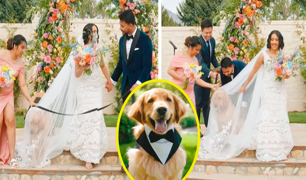 Debido a que no estaba acostumbrado de ver a tanta gente, la pareja permitió que su mascota estuviera con su pelota en la ceremonia. Foto: composición LR/Facebook/rockymtnbride Debido a que no estaba acostumbrado de ver a tanta gente, la pareja permitió que su mascota estuviera con su pelota en la ceremonia. Foto: composición LR/Facebook/rockymtnbride