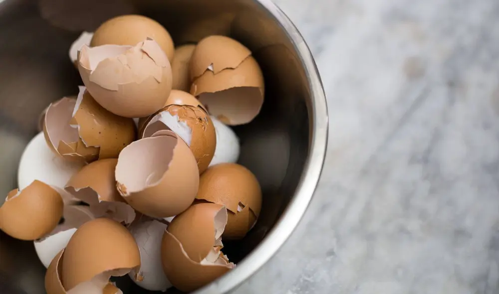 La cáscara de huevo tiene muchos nutrientes importantes. Foto: MuyInteresante
