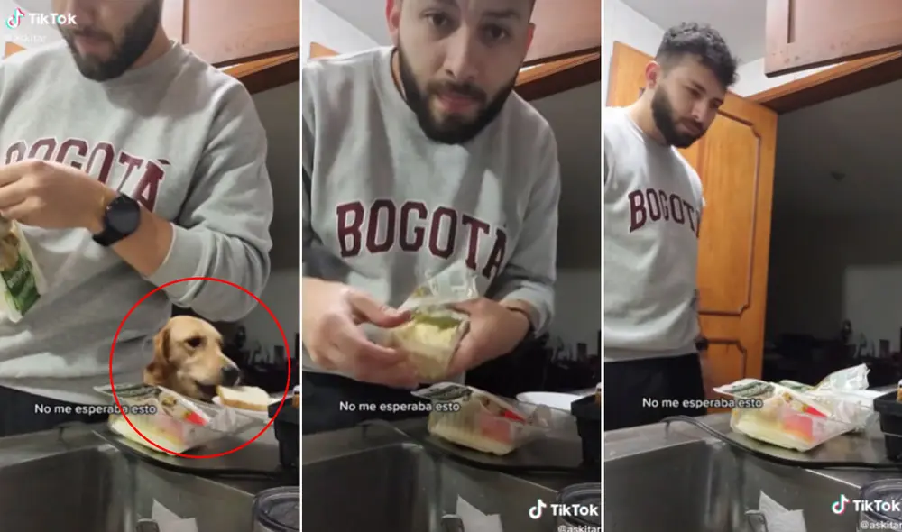Miles de usuarios no han parado de reír con estas imágenes. Foto: composición LR/TikTok/@askitar
