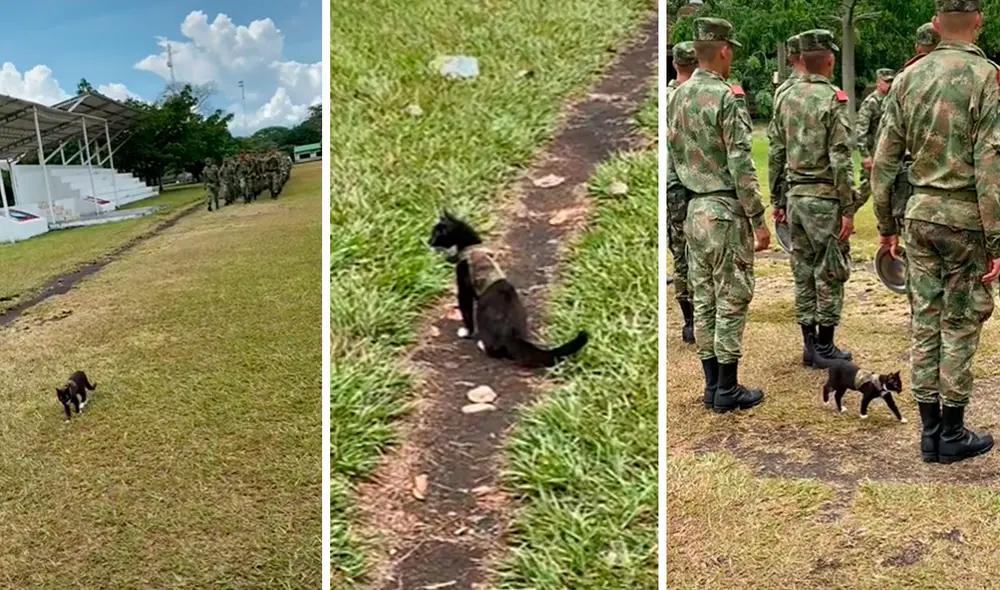 Para que estuviera igual que los demás, la joven le colocó un chaleco militar a su traviesa mascota. Foto: composición LR/TikTok/@delmarrengifo Para que estuviera igual que los demás, la joven le colocó un chaleco militar a su traviesa mascota. Foto: composición LR/TikTok/@delmarrengifo